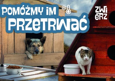Fundacja ZWIERZ przedstawia: 3 najważniejsze potrzeby zwierząt zimą – to proste: ciepłe schronienie, jedzenie i woda, ruch!